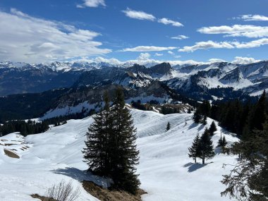 İsviçre Alpleri ve UNESCO Biyosfer Entlebuch, İsviçre - Immergruener Nadelwald und Almwiesen