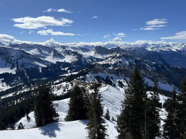 İsviçre Alpleri ve UNESCO Biyosfer Entlebuch, İsviçre - Immergruener Nadelwald und Almwiesen