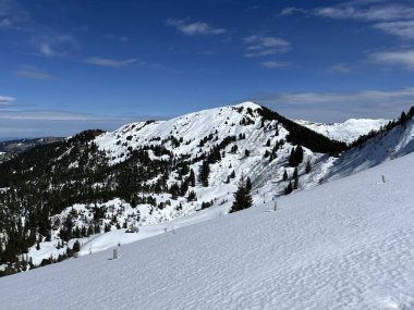 İsviçre Alpleri ve UNESCO Biyosfer Entlebuch, İsviçre - Immergruener Nadelwald und Almwiesen