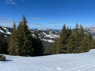 İsviçre Alpleri ve UNESCO Biyosfer Entlebuch, İsviçre - Immergruener Nadelwald und Almwiesen