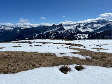 İsviçre Alpleri ve UNESCO Biyosfer Entlebuch, İsviçre - Immergruener Nadelwald und Almwiesen