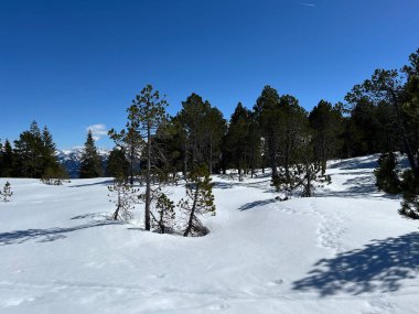 İsviçre Alpleri ve UNESCO Biyosfer Entlebuch, İsviçre - Immergruener Nadelwald und Almwiesen