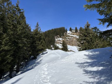 İsviçre Alpleri ve UNESCO Biyosfer Entlebuch, İsviçre - Herrliche Winterwanderwege und Spuren auf der frischen Schneedecke