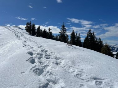İsviçre Alpleri ve UNESCO Biyosfer Entlebuch, İsviçre - Herrliche Winterwanderwege und Spuren auf der frischen Schneedecke