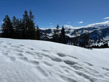 İsviçre Alpleri ve UNESCO Biyosfer Entlebuch, İsviçre - Herrliche Winterwanderwege und Spuren auf der frischen Schneedecke