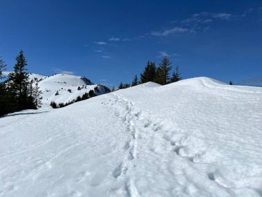 İsviçre Alpleri ve UNESCO Biyosfer Entlebuch, İsviçre - Herrliche Winterwanderwege und Spuren auf der frischen Schneedecke
