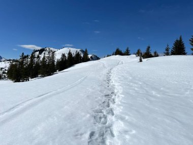 İsviçre Alpleri ve UNESCO Biyosfer Entlebuch, İsviçre - Herrliche Winterwanderwege und Spuren auf der frischen Schneedecke