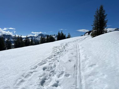 İsviçre Alpleri ve UNESCO Biyosfer Entlebuch, İsviçre - Herrliche Winterwanderwege und Spuren auf der frischen Schneedecke