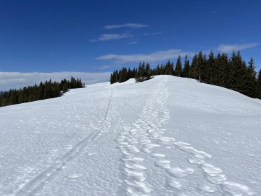 İsviçre Alpleri ve UNESCO Biyosfer Entlebuch, İsviçre - Herrliche Winterwanderwege und Spuren auf der frischen Schneedecke