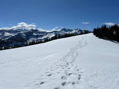 İsviçre Alpleri ve UNESCO Biyosfer Entlebuch, İsviçre - Herrliche Winterwanderwege und Spuren auf der frischen Schneedecke