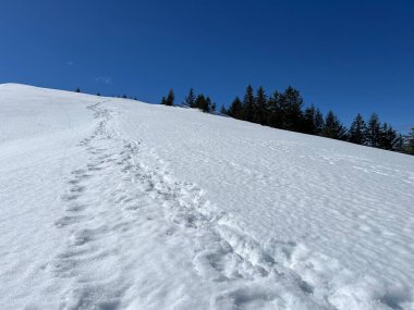 İsviçre Alpleri ve UNESCO Biyosfer Entlebuch, İsviçre - Herrliche Winterwanderwege und Spuren auf der frischen Schneedecke