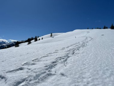 İsviçre Alpleri ve UNESCO Biyosfer Entlebuch, İsviçre - Herrliche Winterwanderwege und Spuren auf der frischen Schneedecke