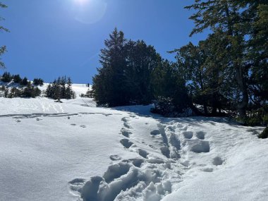 İsviçre Alpleri ve UNESCO Biyosfer Entlebuch, İsviçre - Herrliche Winterwanderwege und Spuren auf der frischen Schneedecke