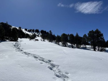 İsviçre Alpleri ve UNESCO Biyosfer Entlebuch, İsviçre - Herrliche Winterwanderwege und Spuren auf der frischen Schneedecke