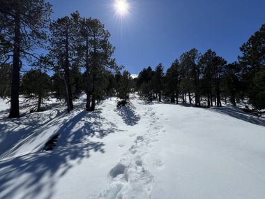 İsviçre Alpleri ve UNESCO Biyosfer Entlebuch, İsviçre - Herrliche Winterwanderwege und Spuren auf der frischen Schneedecke