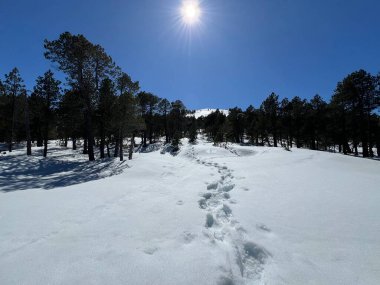 İsviçre Alpleri ve UNESCO Biyosfer Entlebuch, İsviçre - Herrliche Winterwanderwege und Spuren auf der frischen Schneedecke