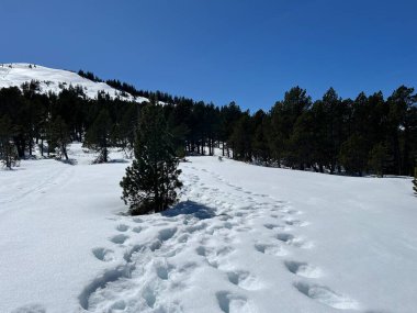 İsviçre Alpleri ve UNESCO Biyosfer Entlebuch, İsviçre - Herrliche Winterwanderwege und Spuren auf der frischen Schneedecke