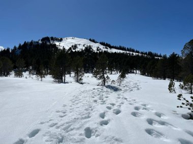 İsviçre Alpleri ve UNESCO Biyosfer Entlebuch, İsviçre - Herrliche Winterwanderwege und Spuren auf der frischen Schneedecke