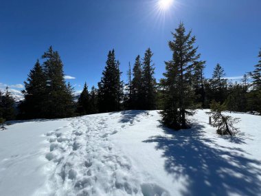 İsviçre Alpleri ve UNESCO Biyosfer Entlebuch, İsviçre - Herrliche Winterwanderwege und Spuren auf der frischen Schneedecke