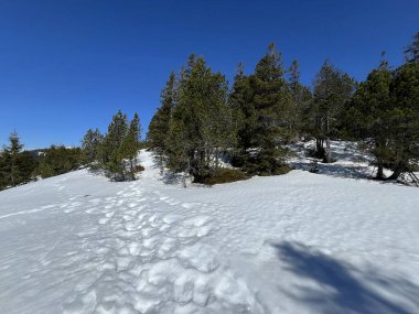 İsviçre Alpleri ve UNESCO Biyosfer Entlebuch, İsviçre - Herrliche Winterwanderwege und Spuren auf der frischen Schneedecke