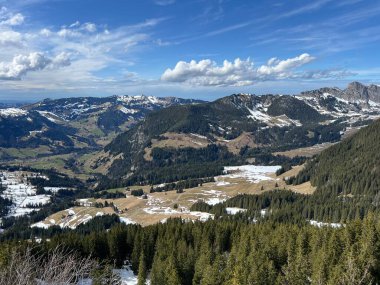 İsviçre Alpleri ve UNESCO Biyosfer Entlebuch, İsviçre - Immergruener Nadelwald und Almwiesen