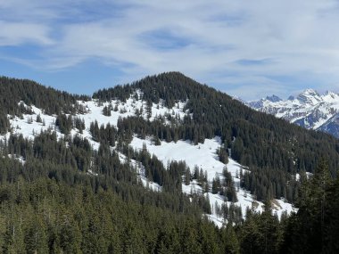 İsviçre Alpleri ve UNESCO Biyosfer Entlebuch, İsviçre - Immergruener Nadelwald und Almwiesen