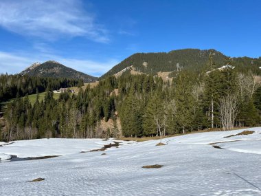 İsviçre Alpleri ve UNESCO Biyosfer Entlebuch, İsviçre - Immergruener Nadelwald und Almwiesen