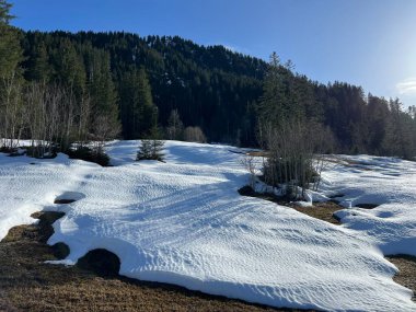 İsviçre Alpleri ve UNESCO Biyosfer Entlebuch, İsviçre - Immergruener Nadelwald und Almwiesen