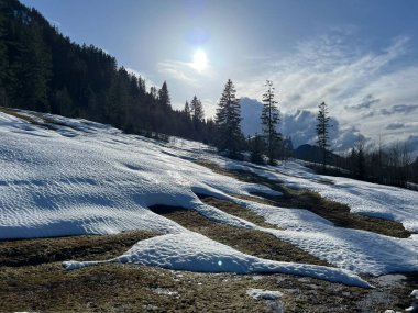 İsviçre Alpleri ve UNESCO Biyosfer Entlebuch, İsviçre - Immergruener Nadelwald und Almwiesen