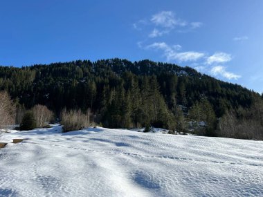 İsviçre Alpleri ve UNESCO Biyosfer Entlebuch, İsviçre - Immergruener Nadelwald und Almwiesen