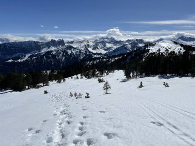 İsviçre Alpleri ve UNESCO Biyosfer Entlebuch, İsviçre - Herrliche Winterwanderwege und Spuren auf der frischen Schneedecke, Schweiz