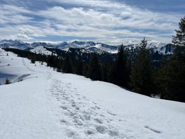 İsviçre Alpleri ve UNESCO Biyosfer Entlebuch, İsviçre - Herrliche Winterwanderwege und Spuren auf der frischen Schneedecke, Schweiz
