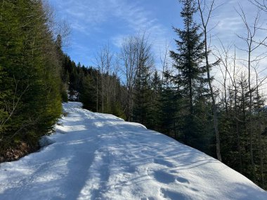 İsviçre Alpleri ve UNESCO Biyosfer Entlebuch, İsviçre - Herrliche Winterwanderwege und Spuren auf der frischen Schneedecke, Schweiz