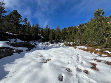 Bernese Oberland bölgesinin taze kar örtüsü üzerinde harika kış yürüyüş yolları ve izler Herrliche Winterwanderwege und Spuren auf der frischen Schneedecke, Schweiz