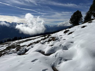 Bernese Oberland bölgesinin taze kar örtüsü üzerinde harika kış yürüyüş yolları ve izler Herrliche Winterwanderwege und Spuren auf der frischen Schneedecke, Schweiz