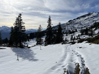 Bernese Oberland bölgesinin taze kar örtüsü üzerinde harika kış yürüyüş yolları ve izler Herrliche Winterwanderwege und Spuren auf der frischen Schneedecke, Schweiz