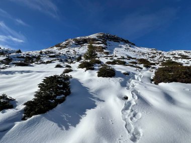Bernese Oberland bölgesinin taze kar örtüsü üzerinde harika kış yürüyüş yolları ve izler Herrliche Winterwanderwege und Spuren auf der frischen Schneedecke, Schweiz