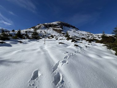 Bernese Oberland bölgesinin taze kar örtüsü üzerinde harika kış yürüyüş yolları ve izler Herrliche Winterwanderwege und Spuren auf der frischen Schneedecke, Schweiz