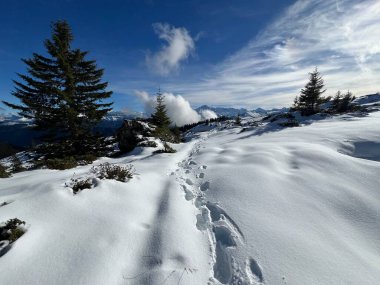 Bernese Oberland bölgesinin taze kar örtüsü üzerinde harika kış yürüyüş yolları ve izler Herrliche Winterwanderwege und Spuren auf der frischen Schneedecke, Schweiz