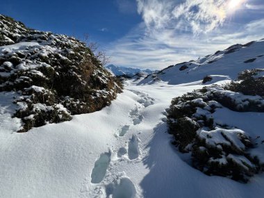 Bernese Oberland bölgesinin taze kar örtüsü üzerinde harika kış yürüyüş yolları ve izler Herrliche Winterwanderwege und Spuren auf der frischen Schneedecke, Schweiz