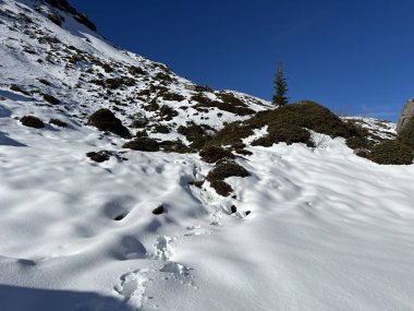 Bernese Oberland bölgesinin taze kar örtüsü üzerinde harika kış yürüyüş yolları ve izler Herrliche Winterwanderwege und Spuren auf der frischen Schneedecke, Schweiz