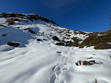 Bernese Oberland bölgesinin taze kar örtüsü üzerinde harika kış yürüyüş yolları ve izler Herrliche Winterwanderwege und Spuren auf der frischen Schneedecke, Schweiz
