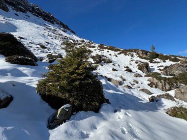 Bernese Oberland bölgesinin taze kar örtüsü üzerinde harika kış yürüyüş yolları ve izler Herrliche Winterwanderwege und Spuren auf der frischen Schneedecke, Schweiz