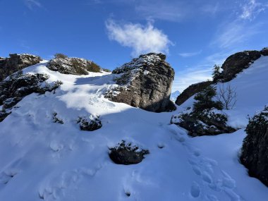 Bernese Oberland bölgesinin taze kar örtüsü üzerinde harika kış yürüyüş yolları ve izler Herrliche Winterwanderwege und Spuren auf der frischen Schneedecke, Schweiz