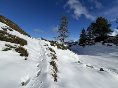 Bernese Oberland bölgesinin taze kar örtüsü üzerinde harika kış yürüyüş yolları ve izler Herrliche Winterwanderwege und Spuren auf der frischen Schneedecke, Schweiz