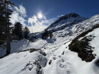 Bernese Oberland bölgesinin taze kar örtüsü üzerinde harika kış yürüyüş yolları ve izler Herrliche Winterwanderwege und Spuren auf der frischen Schneedecke, Schweiz