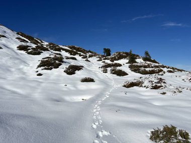 Bernese Oberland bölgesinin taze kar örtüsü üzerinde harika kış yürüyüş yolları ve izler Herrliche Winterwanderwege und Spuren auf der frischen Schneedecke, Schweiz