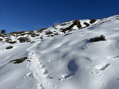 Bernese Oberland bölgesinin taze kar örtüsü üzerinde harika kış yürüyüş yolları ve izler Herrliche Winterwanderwege und Spuren auf der frischen Schneedecke, Schweiz