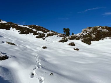 Bernese Oberland bölgesinin taze kar örtüsü üzerinde harika kış yürüyüş yolları ve izler Herrliche Winterwanderwege und Spuren auf der frischen Schneedecke, Schweiz