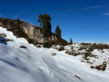 Bernese Oberland bölgesinin taze kar örtüsü üzerinde harika kış yürüyüş yolları ve izler Herrliche Winterwanderwege und Spuren auf der frischen Schneedecke, Schweiz